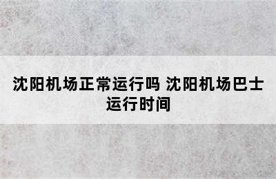 沈阳机场正常运行吗 沈阳机场巴士运行时间